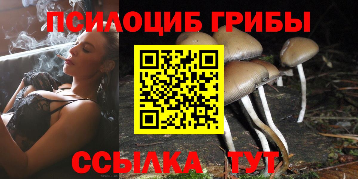 Галлюциногенные грибы прущие грибы Когалым